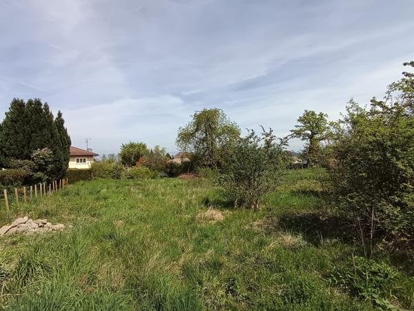 Neuvecelle (74500) Terrain constructible, plat, au calme et vue Lac