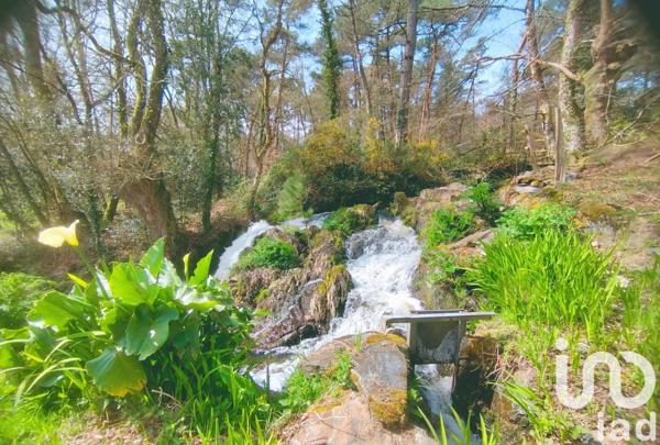 Maison 14 pièces de 483 m² à Plumelec (56420)