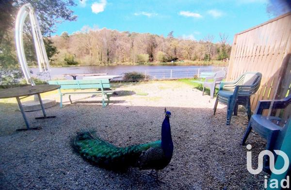 Maison 14 pièces de 483 m² à Plumelec (56420)