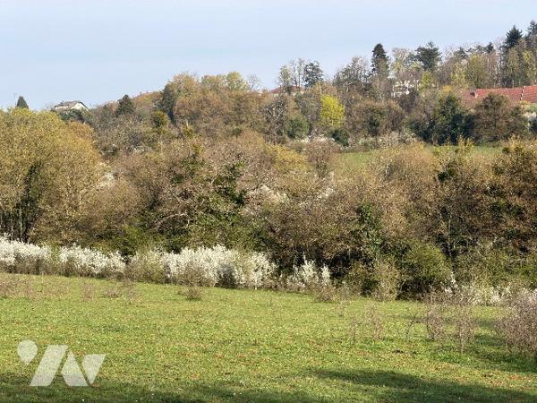 BESANCON - PARCELLE NON VIABILISABLE