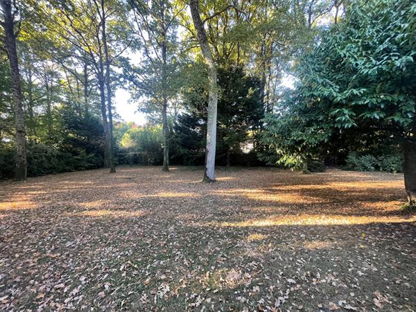 Maison Basse Goulaine 7 pièce(s) - 230m²