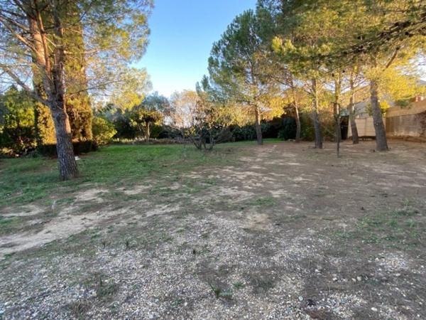 Vente / Terrain constructible