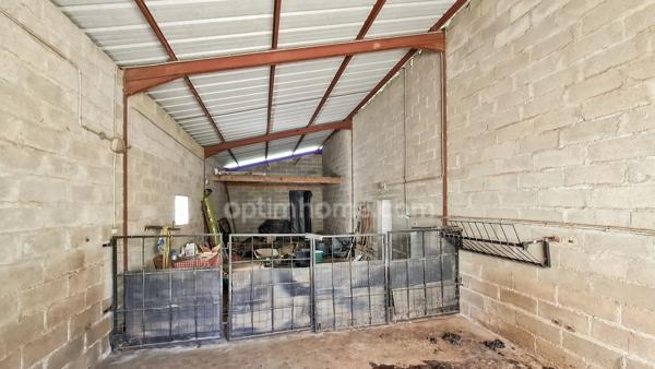 Ferme rénovée à vendre 6 pièces à Espinasse-Vozelle (03) – Propriété avec dépendances et hangar – Proche Vichy