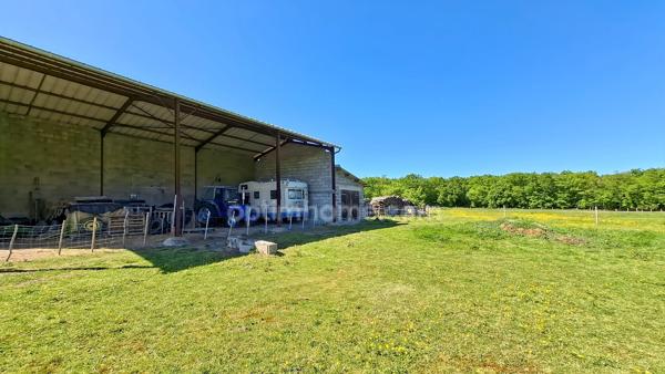 Ferme rénovée à vendre 6 pièces à Espinasse-Vozelle (03) – Propriété avec dépendances et hangar – Proche Vichy