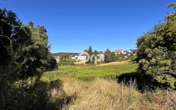 Terrain à vendre    Saint-Chély-d'Apcher