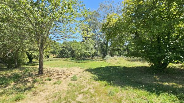 Eauze (32800) MAISON T7 - 134M² EN CAMPAGNE AVEC TERRAIN D'1HA ET DEPENDANCE / PROCHE EAUZE