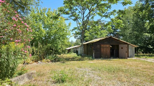 Eauze (32800) MAISON T7 - 134M² EN CAMPAGNE AVEC TERRAIN D'1HA ET DEPENDANCE / PROCHE EAUZE