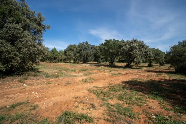 Saint-Siffret (30700) Terrain à bâtir à 5 mn d'Uzès