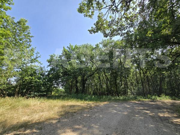 Offrez-vous un coin de nature préservée, au cœur d’un écrin boisé.