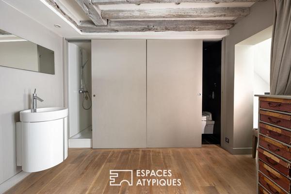 Duplex au dernier étage avec terrasse plein ciel et balcon