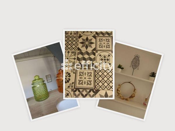 Appartement 2 pièces - 48 m² Exclusivité efficity