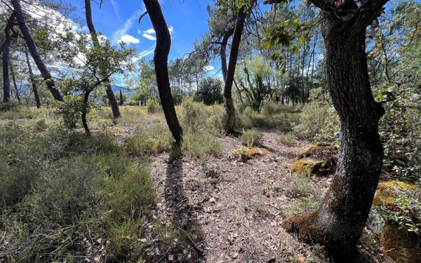 Terrain à vendre    Les Assions
