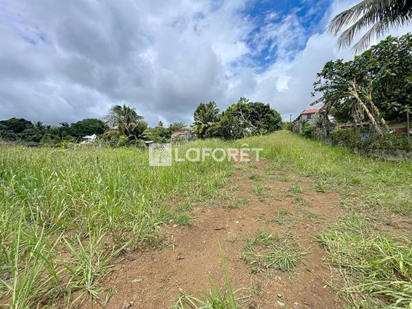 Achat terrain Lamentin - 800 m² - 154 000 €