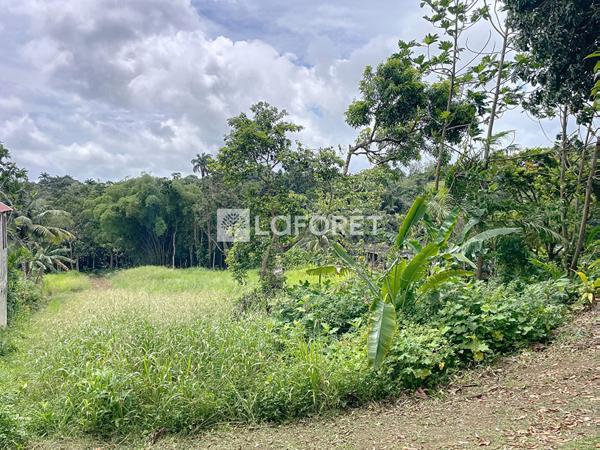 Achat terrain Lamentin - 800 m² - 154 000 €