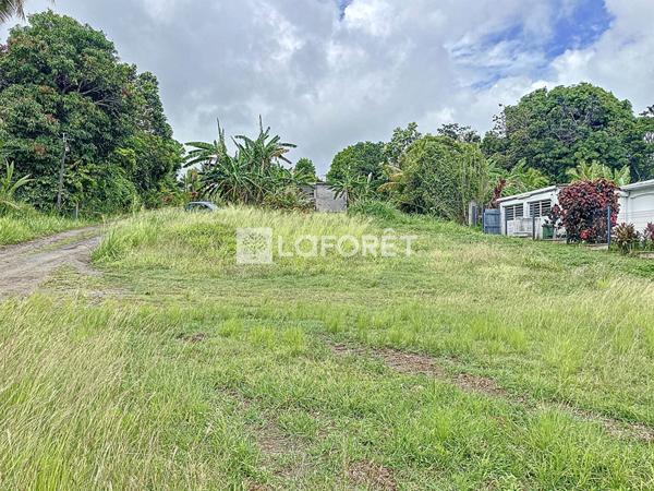 Achat terrain Lamentin - 800 m² - 154 000 €