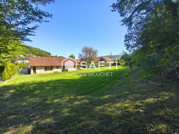 Maison de plein pied avec vue sur la foret