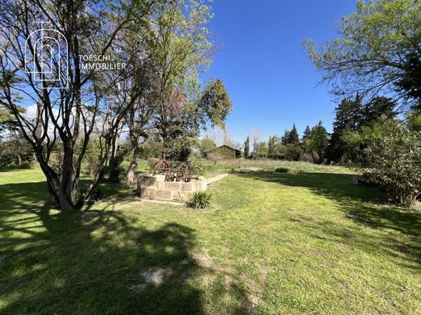 Mas d’Exception en Camargue – Authenticité, Élégance et Prestations