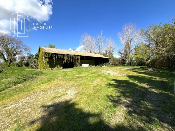 Mas d’Exception en Camargue – Authenticité, Élégance et Prestations