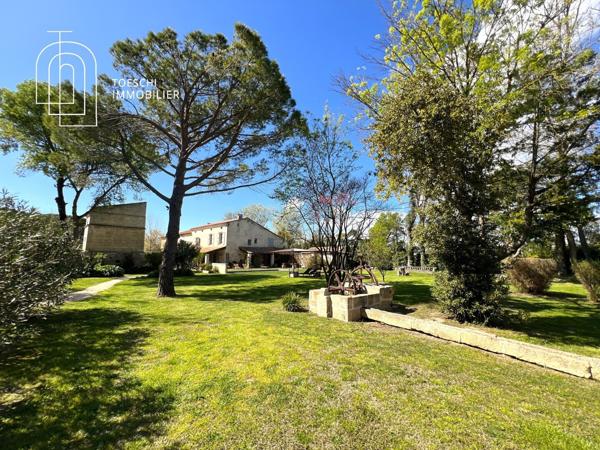 Mas d’Exception en Camargue – Authenticité, Élégance et Prestations