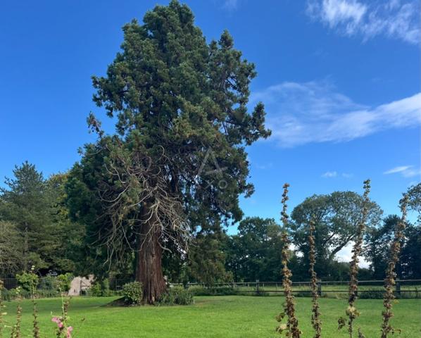 Domaine d'exception dieppe