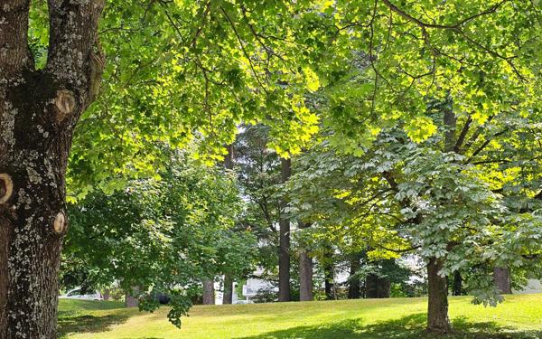 Appartement à vendre    4 pièces • 97,80 m2 Saint-Étienne