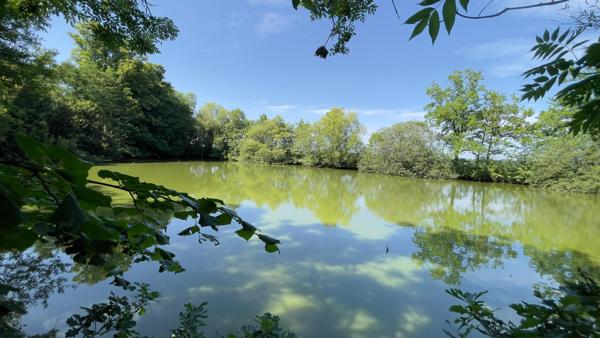 En campagne