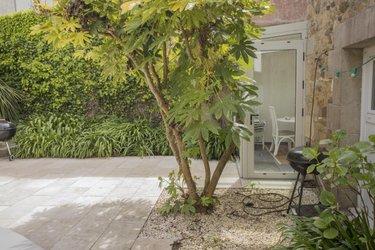 Maison à vendre à Paimpol dans les Côtes-d'Armor (22500), ref : 22023-3542