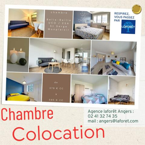 Location chambre Angers - 18 m² - 430 €/mois