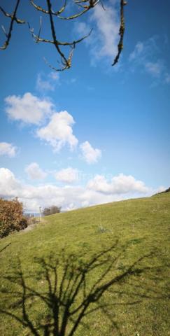 Maison familiale 157 m² – Vue montagnes – Terrain 5 600 m² avec piscine et terrain de pétanque