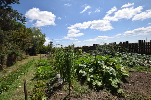 Domaine à vendre comprenant, une maison, des chambres d'hôtes et 2 appartements sur plus d'un hectare à SAINTE BAZEILLE (47)
