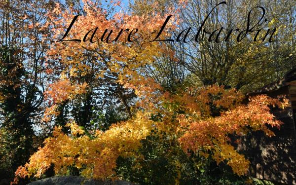 Domaine à vendre comprenant, une maison, des chambres d'hôtes et 2 appartements sur plus d'un hectare à SAINTE BAZEILLE (47)