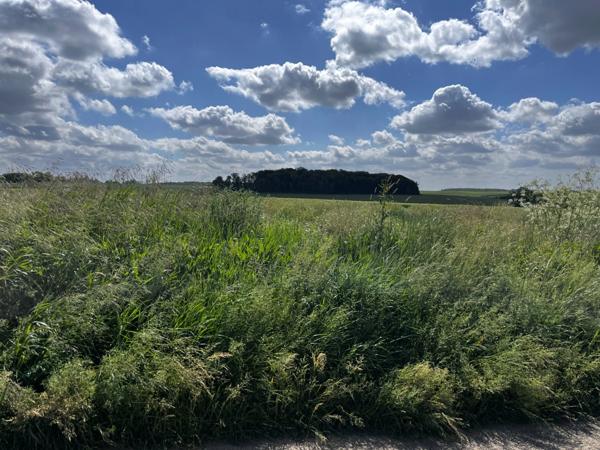 Terrain à vendre de 797,00 m² PORCHEUX (60)