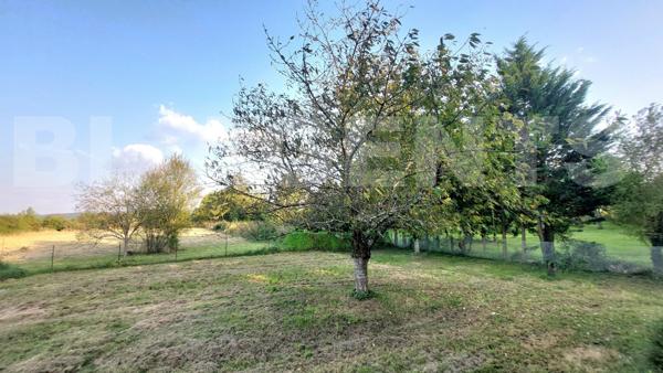 SECTEUR RECHERCHE : GRANDE MAISON INDIVIDUELLE élevée sur un sous sol total avec jardin et garage 