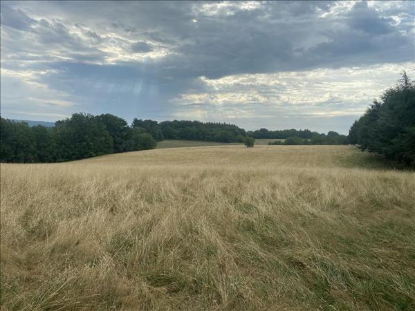 Maison à vendre |  Villefranche-du-Périgord |  3 pièces | 54 m²