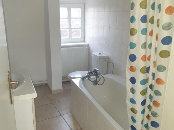 Location Appartement 2 pièces Sélestat (67600) - CV