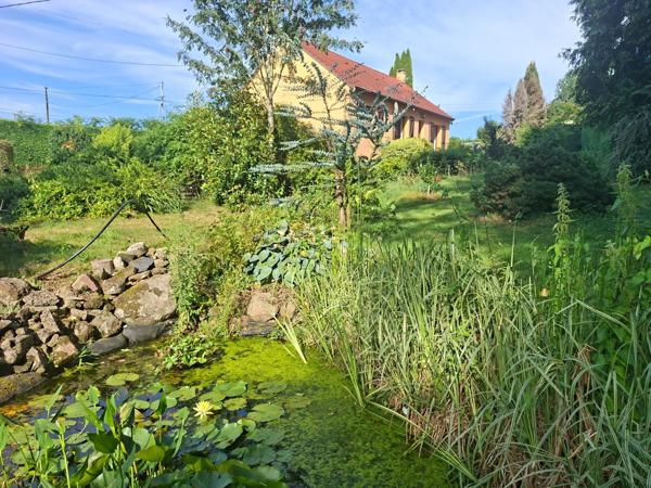 Maison évolutive, secteur la Ferté Macé, 3 chambres, sur sous sol, parc de 3000 m2 arboré et clos.