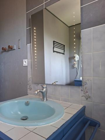 Maison évolutive, secteur la Ferté Macé, 3 chambres, sur sous sol, parc de 3000 m2 arboré et clos.