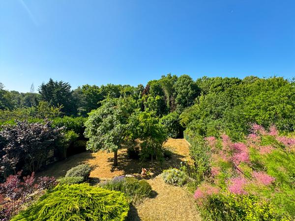 Maison Palaiseau 7 pièce(s) 203 m2