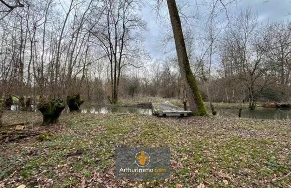 Vente Terrain 5090 m2 à Saint-Hilaire-la-Palud