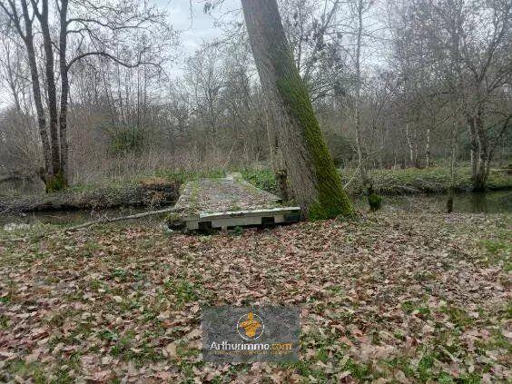 Vente Terrain 5090 m2 à Saint-Hilaire-la-Palud