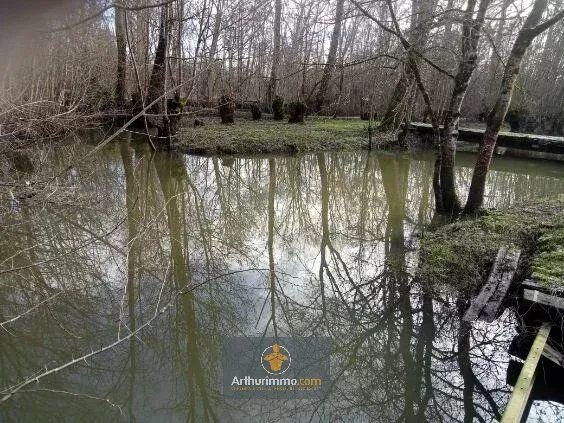 Vente Terrain 5090 m2 à Saint-Hilaire-la-Palud