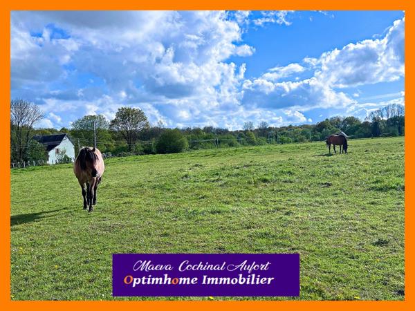 Propriété équestre/agricole à 25 min de Verneuil sur Avre