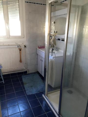 Maison à vendre à Saint-Doulchard dans le Cher (18230), ref : 18005-1558