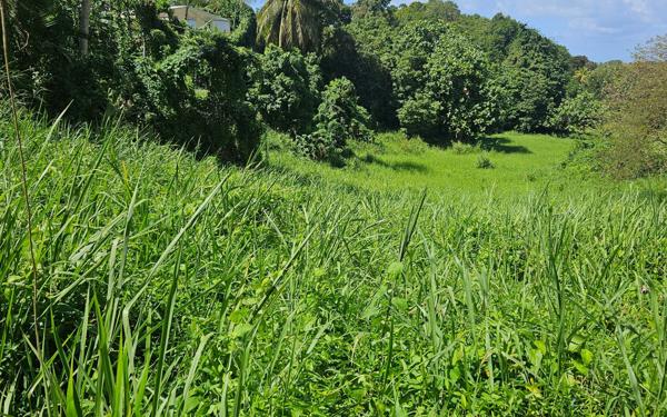 Terrain à vendre    Les Abymes