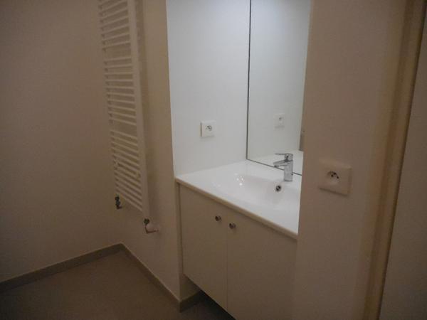 T1/2 QUARTIER BAILLE AVEC GARAGE