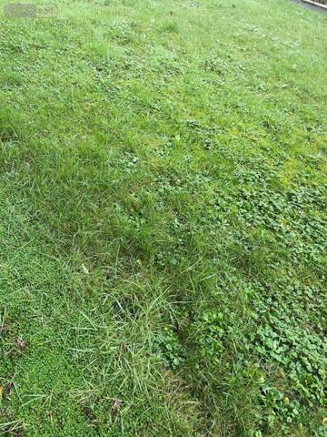 Terrain à Batir à vendre à Saint-Malo en Ille-et-Vilaine (35400), ref : 35104-1781