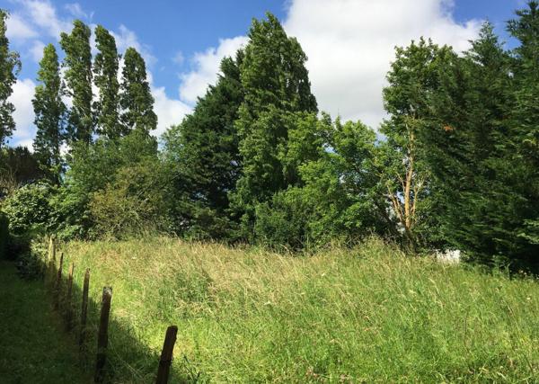 Terrain à vendre    Échillais