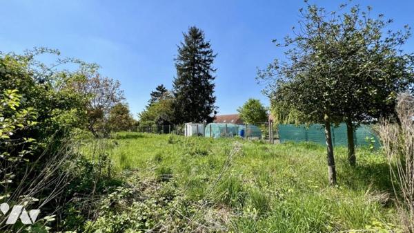 Terrain Constructible