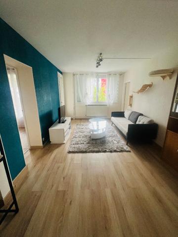 Appartement Saint Jean De La Ruelle 3 pièce(s) 52.05 m2