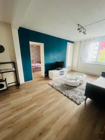 Appartement Saint Jean De La Ruelle 3 pièce(s) 52.05 m2